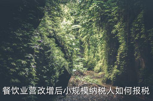 營(yíng)改增后小規(guī)模納稅人如何報(bào)稅，營(yíng)改增后小規(guī)模的怎么報(bào)稅