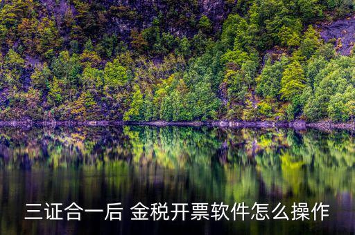 三證合一如何開票系統(tǒng)，怎么給三證合一的企業(yè)開增值稅發(fā)票