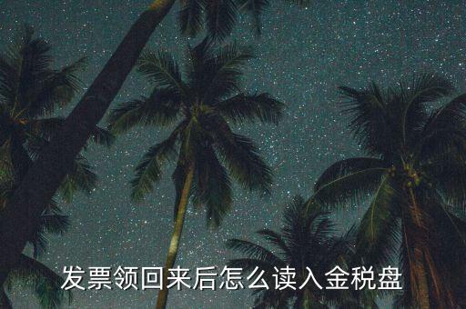 稅稅通申領(lǐng)的發(fā)票如何讀入，電子發(fā)票申領(lǐng)成功后怎么讀入