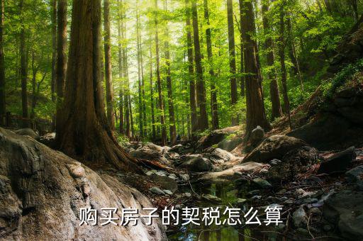 如何省契稅，契稅怎么算
