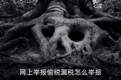 如何網(wǎng)上稅務(wù)舉報(bào)，網(wǎng)上舉報(bào)偷稅漏稅怎么舉報(bào)
