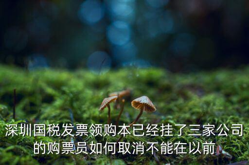如何取消稅務局購票人，國稅如何刪除購票人