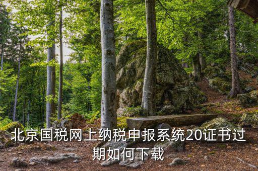 北京國稅網上納稅申報系統(tǒng)20證書過期如何下載