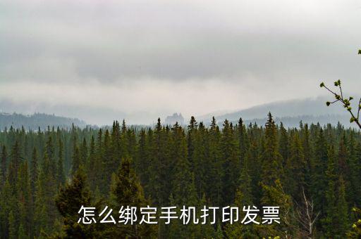 百旺電子發(fā)票如何綁定終端，尚未配備電子發(fā)票終端怎么處理