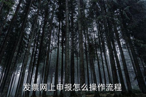 如何國稅局網上申請開票，如何登錄稅務網上開票