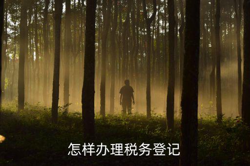 電子國稅如何稅務登記，如何進行電子報稅的稅務登記