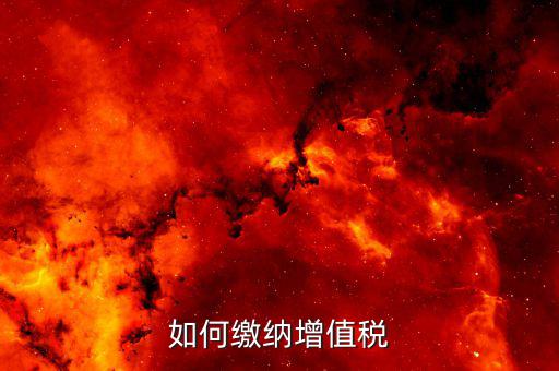 增值稅進(jìn)項(xiàng)稅如何納稅，增值稅怎么交