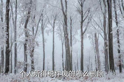 如何刪除已審核的地稅報(bào)表，已遞上的地稅網(wǎng)上財(cái)務(wù)報(bào)表系統(tǒng)的報(bào)表能否刪除