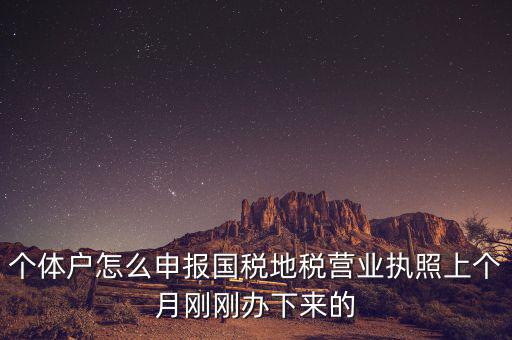 個(gè)體定額如何申報(bào)國(guó)稅，個(gè)體戶如何申報(bào)國(guó)稅和地稅