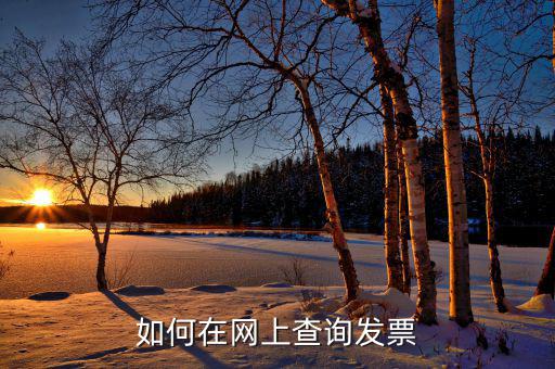 如何查詢網(wǎng)絡(luò)發(fā)票，怎樣從網(wǎng)上報(bào)稅系統(tǒng)查已開(kāi)的發(fā)票
