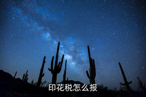 如何國(guó)稅申報(bào)印花稅，印花稅怎么報(bào)