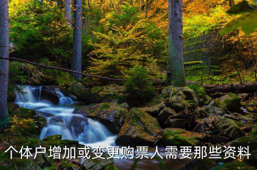 如何增加辦稅人員，請(qǐng)問怎樣才能增加一個(gè)辦稅人需要什么資料