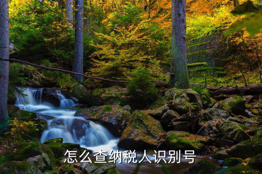 如何查詢個人納稅人識別號，納稅人識別號查詢