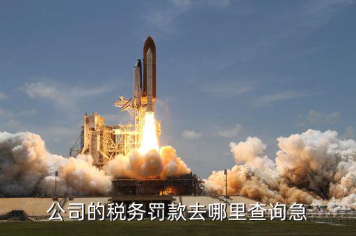 如何查稅收罰款，公司的稅務罰款去哪里查詢急