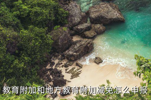 地方教育附加如何申報(bào)了，教育附加和地方教育附加減免怎么申報(bào)