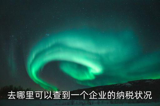 企業(yè)在哪納稅如何查，去哪里可以查到一個企業(yè)的納稅狀況