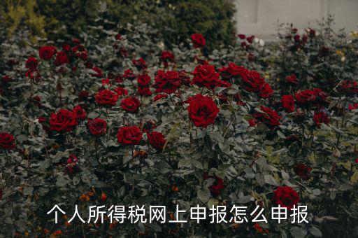 福建個人納稅如何申報，個人所得稅網上申報怎么申報