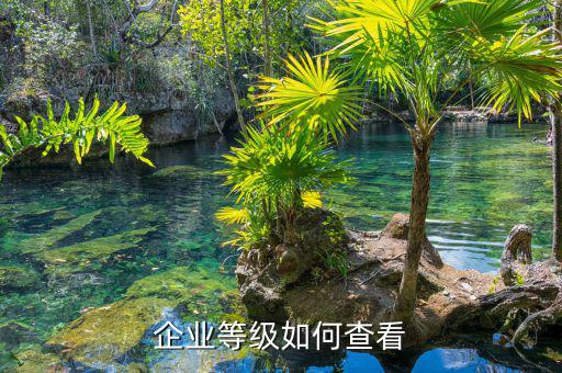 如何查納稅信用等級，企業(yè)納稅信用等級有何用處