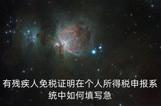 殘疾人個(gè)稅如何申報(bào)，有殘疾人免稅證明在個(gè)人所得稅申報(bào)系統(tǒng)中如何填寫(xiě)急