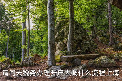 如何辦理稅務(wù)開戶，請問去稅務(wù)辦理開戶大概什么流程上海