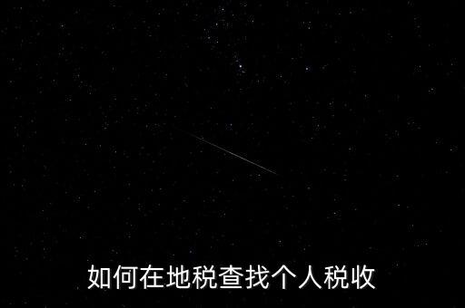 地稅局如何查個(gè)人所得稅，如何在地稅查找個(gè)人稅收