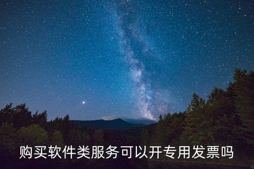 軟件采購專票如何開具，購買軟件類服務(wù)可以開專用發(fā)票嗎