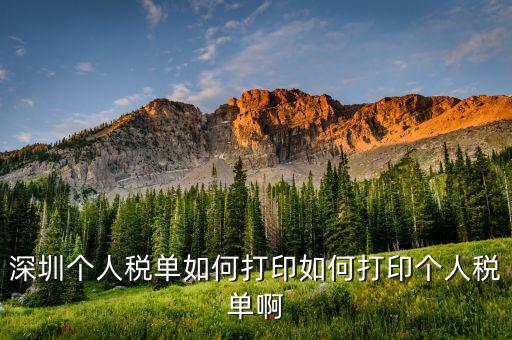 深圳網(wǎng)上如何打印稅單，怎樣在網(wǎng)上打印稅單我是深圳寶安區(qū)的