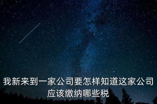 如何查稅種，我新來(lái)到一家公司要怎樣知道這家公司應(yīng)該繳納哪些稅