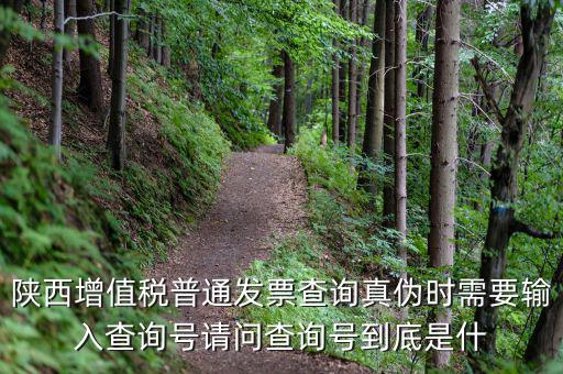 陜西省普通發(fā)票如何查詢系統(tǒng)，陜西國(guó)稅發(fā)票查詢號(hào)是做什么的