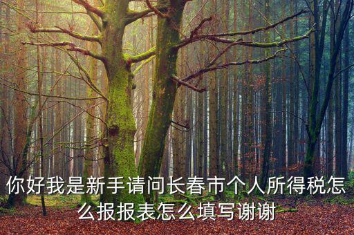 你好我是新手請(qǐng)問(wèn)長(zhǎng)春市個(gè)人所得稅怎么報(bào)報(bào)表怎么填寫謝謝