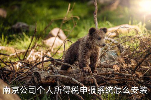 如何安裝金稅三期個(gè)稅安裝包，金稅三期在哪里下載