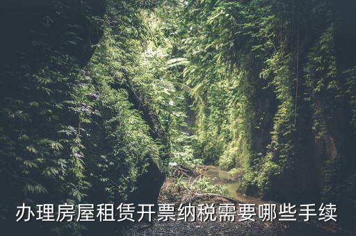 租房如何開增值稅專票，房屋租賃可以開增值稅專用發(fā)票嗎