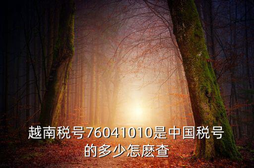 中國(guó)如何查個(gè)人稅號(hào)，越南稅號(hào)76041010是中國(guó)稅號(hào)的多少怎麼查