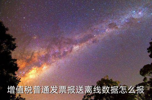 如何報(bào)送發(fā)票數(shù)據(jù)，河北國(guó)稅普通發(fā)票怎么報(bào)送