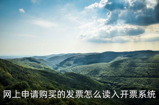 網(wǎng)購發(fā)票如何讀入，網(wǎng)上申請(qǐng)購買的發(fā)票怎么讀入開票系統(tǒng)