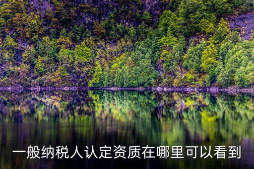 如何查看稅務(wù)資質(zhì)，一般納稅人認(rèn)定資質(zhì)在哪里可以看到