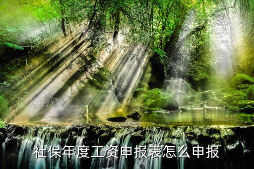 如何申報社保費申報表，申報社保怎么申請