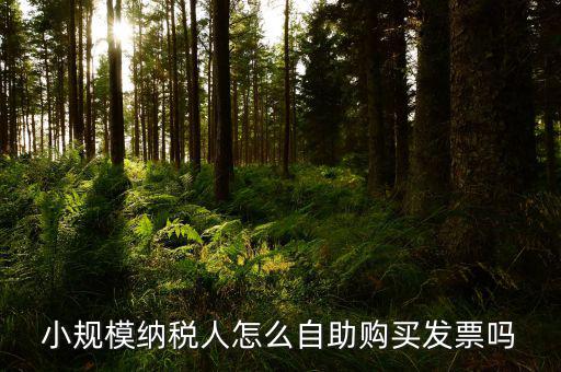 如何在自助機(jī)領(lǐng)購發(fā)票，小規(guī)模納稅人怎么自助購買發(fā)票嗎