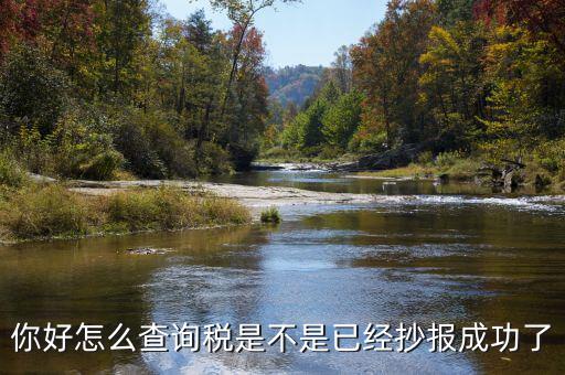 如何查看抄報成功，稅控發(fā)票開票軟件怎么看網(wǎng)上抄報成功沒有