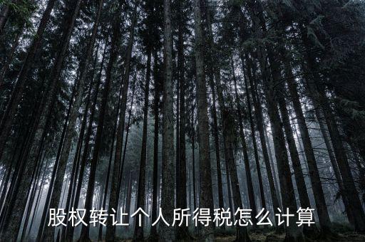 如何計算股權(quán)轉(zhuǎn)讓所得稅，股權(quán)轉(zhuǎn)讓的個人所得稅怎么計算