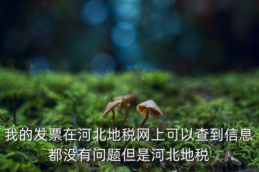 我的發(fā)票在河北地稅網上可以查到信息都沒有問題但是河北地稅