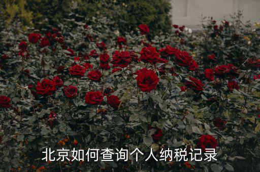 如何查詢北京國稅局納稅人狀態(tài)，如何進(jìn)行北京市A級納稅人信用查詢