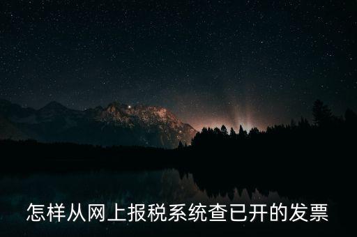 怎樣從網上報稅系統(tǒng)查已開的發(fā)票