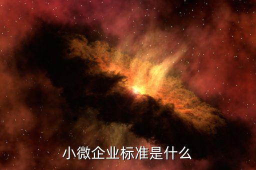 泰州如何認(rèn)定小微企業(yè)，兼營營業(yè)稅應(yīng)稅項目怎樣界定是否可享受暫免征收部分小微企
