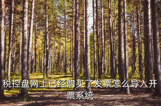 如何進(jìn)入開票系統(tǒng)，怎么進(jìn)入國(guó)家稅務(wù)局發(fā)票填開系統(tǒng)