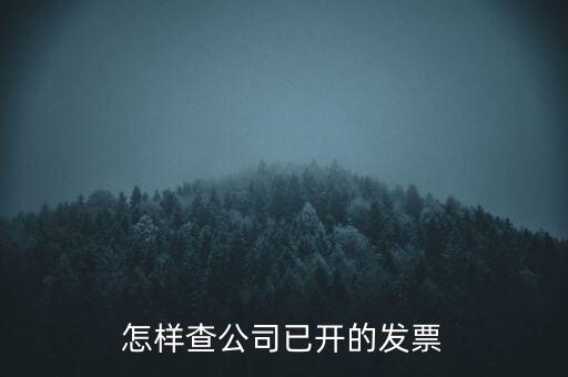 如何查企業(yè)的開票資料，如何查詢其他企業(yè)開具給本企業(yè)的發(fā)票