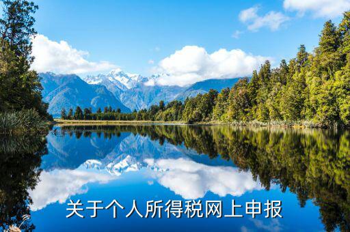 網(wǎng)上如何啟用個(gè)稅，如何打開個(gè)人所得稅申報(bào)表的明細(xì)