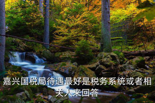 海寧國稅局待遇如何，嘉興經開國稅在哪
