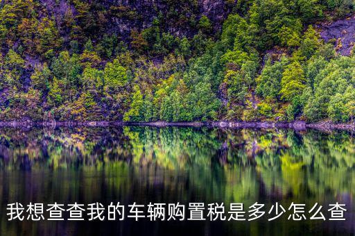 如何看購置稅發(fā)票，我想查查我的車輛購置稅是多少怎么查