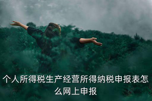 生產(chǎn)經(jīng)營所得如何網(wǎng)上申報，個體工商戶網(wǎng)上申報怎么做